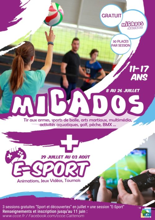 affiche-micados-ete-2019-ccce