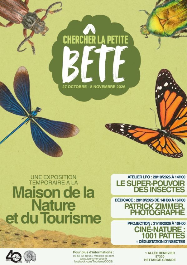 Affiche_ExpositionChercherlapetitebete Affiche_ExpositionChercherlapetitebete